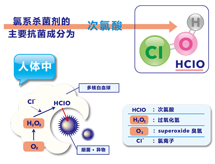 为什么次氯酸消毒液没有大规模应用?